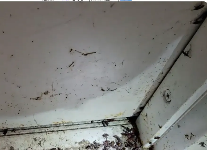 Duct area where a dead animal caused an odor