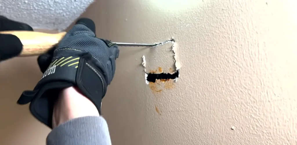 Technician opening drywall to reach an animal inside a wall