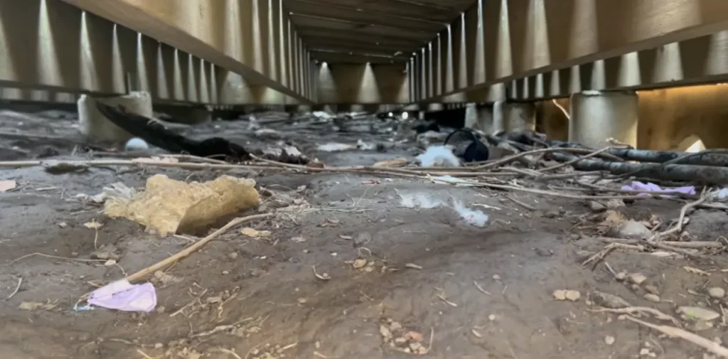 Crawl space under a deck where wildlife dens