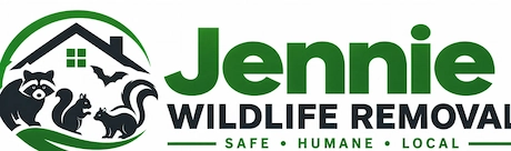 wildlife removal dallas